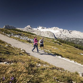 Zwei Wanderer gehen einen bergigen Wanderpfad entlang, umgeben von grasigen Hängen, felsigen Gipfeln und schneeweißen Bergen im Hintergrund.