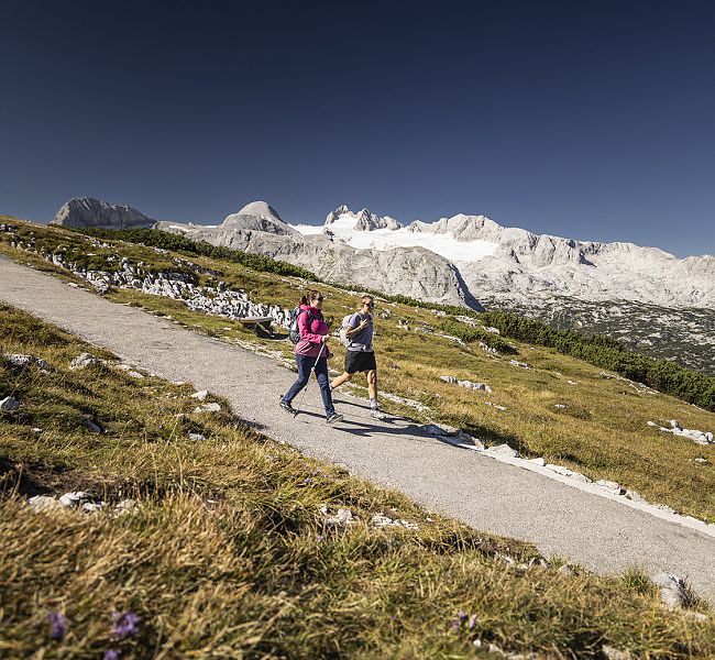 Zwei Wanderer gehen einen bergigen Wanderpfad entlang, umgeben von grasigen Hängen, felsigen Gipfeln und schneeweißen Bergen im Hintergrund.