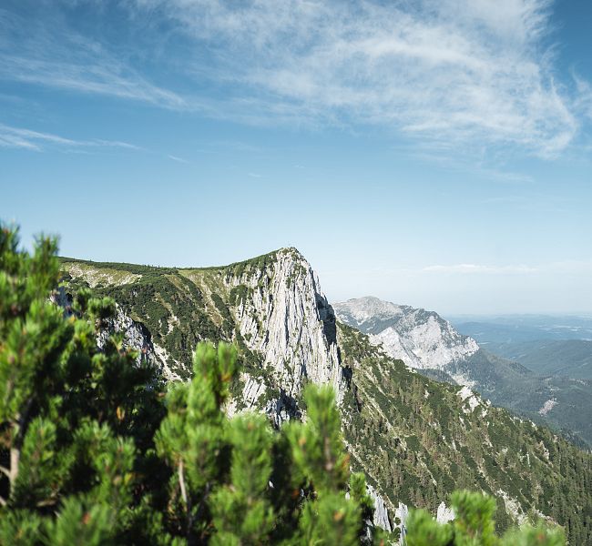 Berglandschaft mit steiler Felswand, grünem Vordergrundwald und weiter entfernten Gipfeln unter einem klaren blauen Himmel.