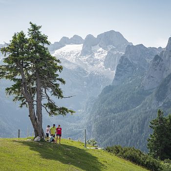 Vier Personen stehen auf einer grasigen Bergwiese an einem Aussichtspunkt. Im Hintergrund erstrecken sich schroffe Berge mit schneeüberzogenen Gipfeln; links im Bild steht ein einzelner Baum.