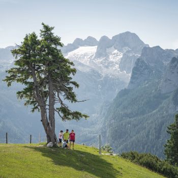 Vier Personen stehen auf einer grasigen Bergwiese an einem Aussichtspunkt. Im Hintergrund erstrecken sich schroffe Berge mit schneeüberzogenen Gipfeln; links im Bild steht ein einzelner Baum.